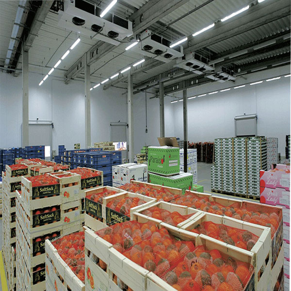 Large Cold Storage Room